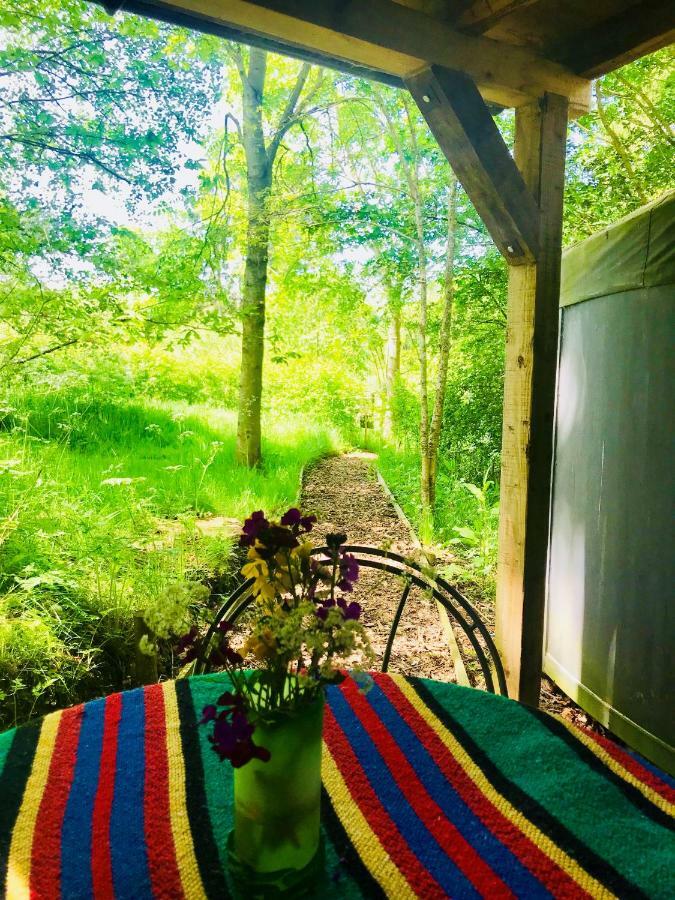 Cotswolds Camping At Holycombe Shipston-on-Stour Екстер'єр фото